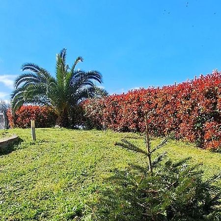 לינה וארוחת בוקר קייטי La Bella Addormentata מראה חיצוני תמונה
