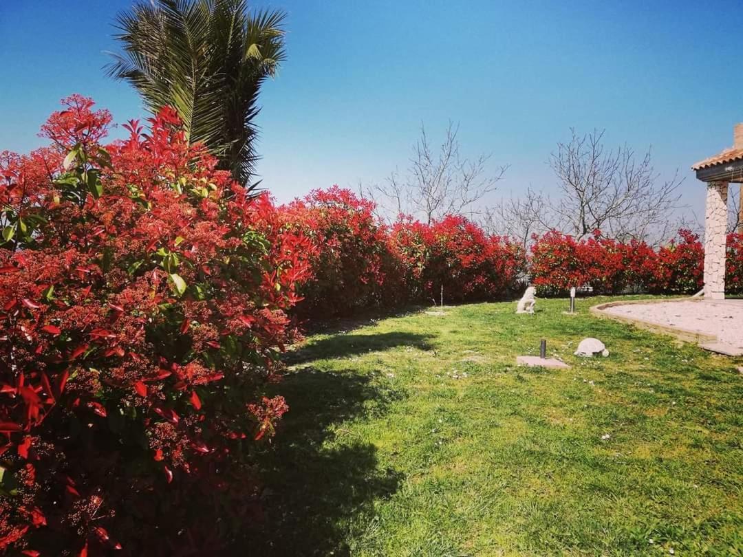 לינה וארוחת בוקר קייטי La Bella Addormentata חדר תמונה